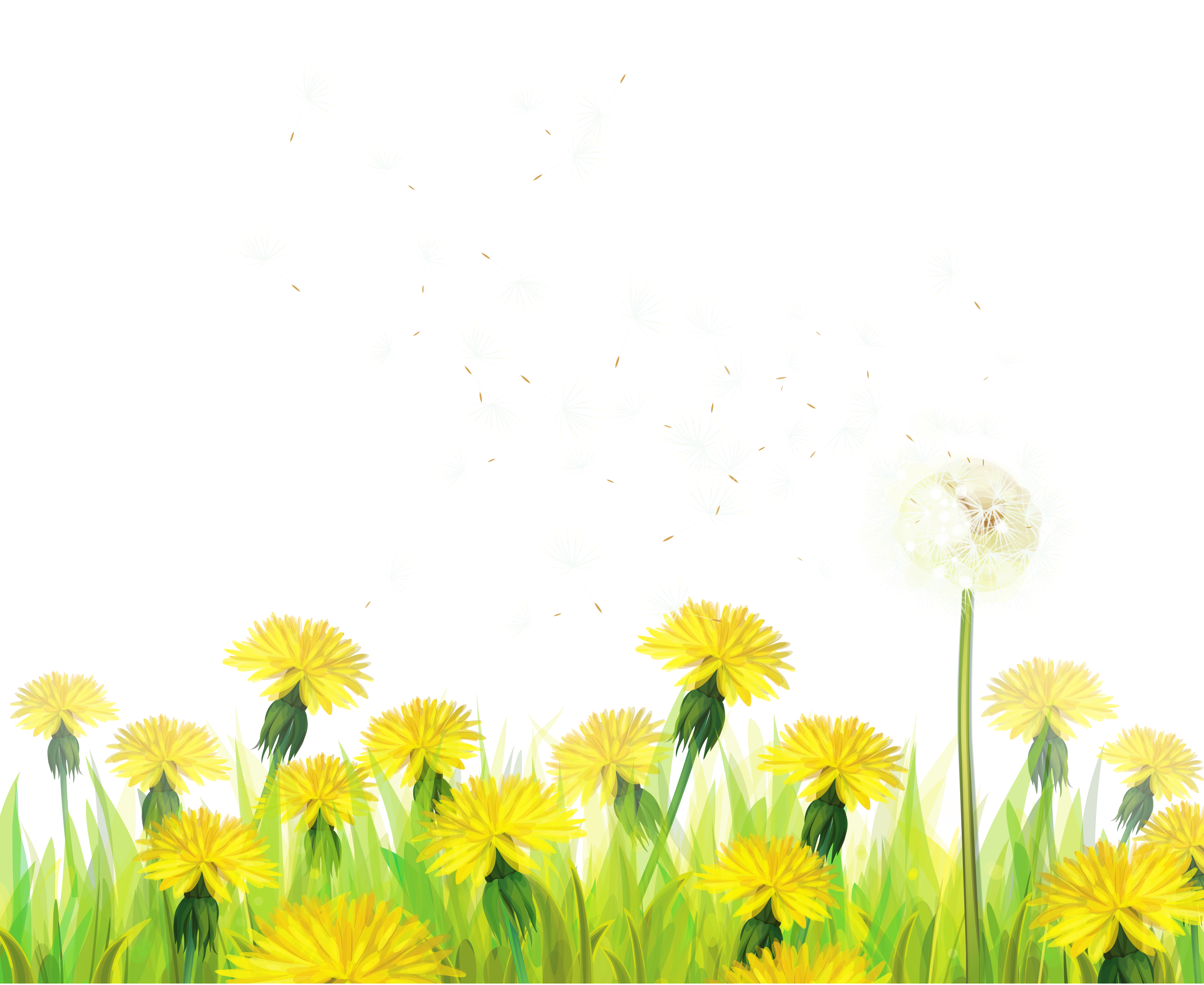 Transparentes Gras mit Löwenzahn Clipart? M = 1399672800