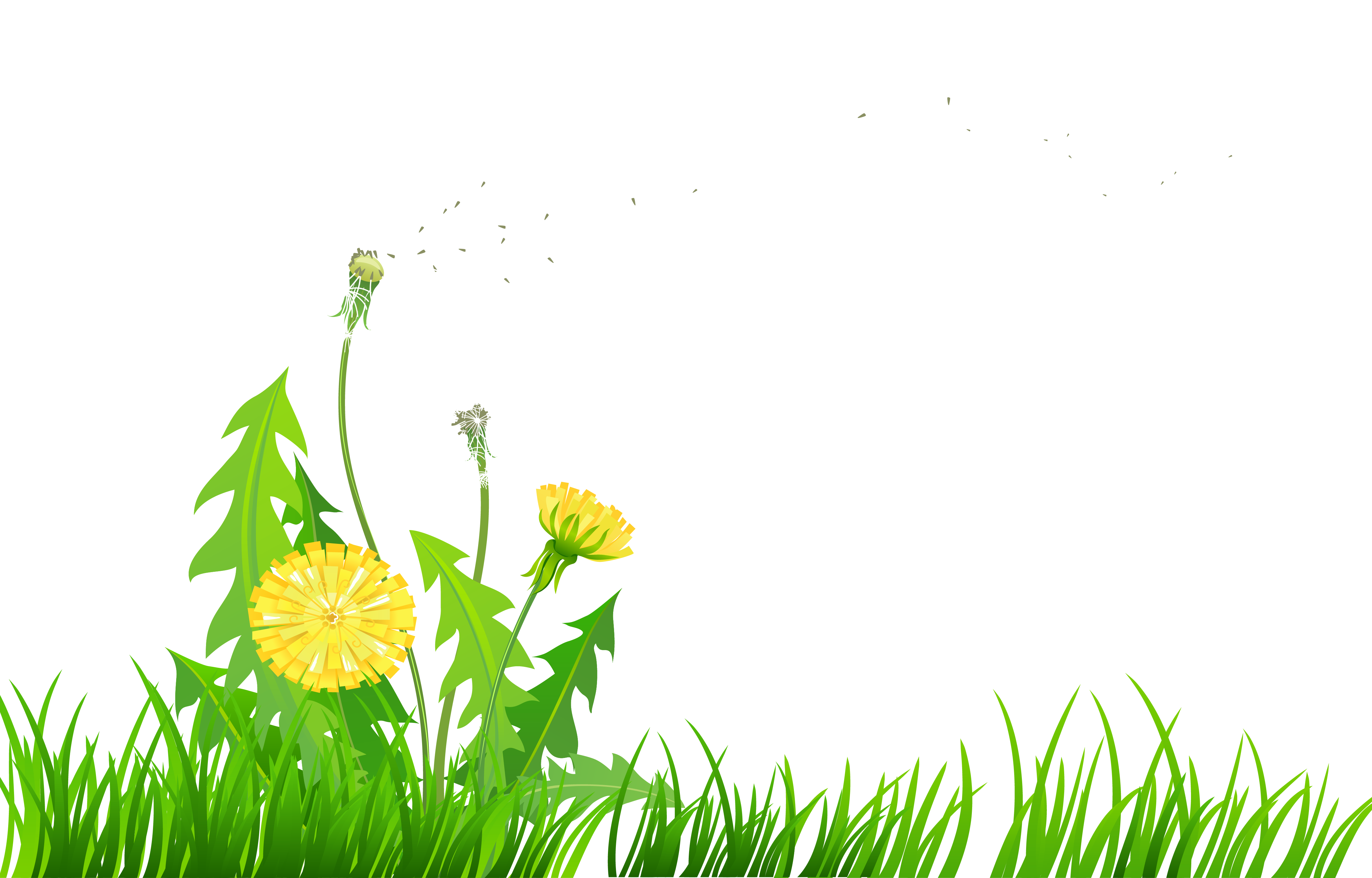 Gras mit Löwenzahn PNG Clipart