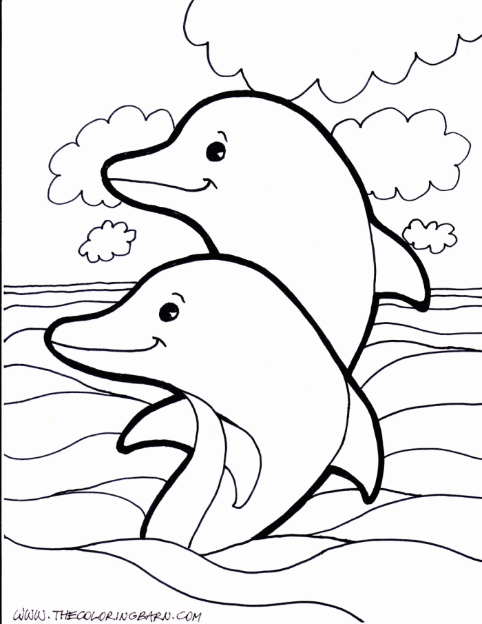 Baby Dolphin Malvorlagen