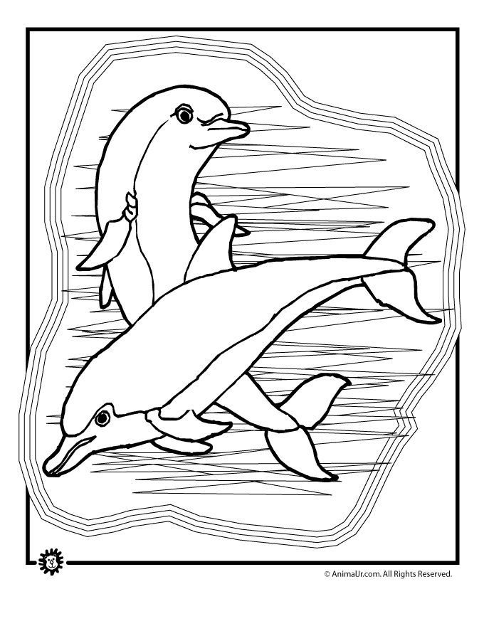 Baby Dolphin Malvorlagen