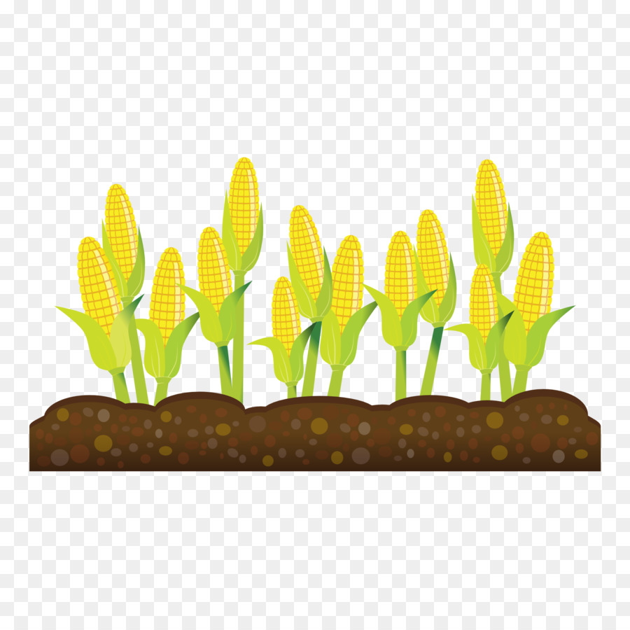 Colheita Agricultura Fazenda Campo Clip Art Agricultura Cliparts Plnb0