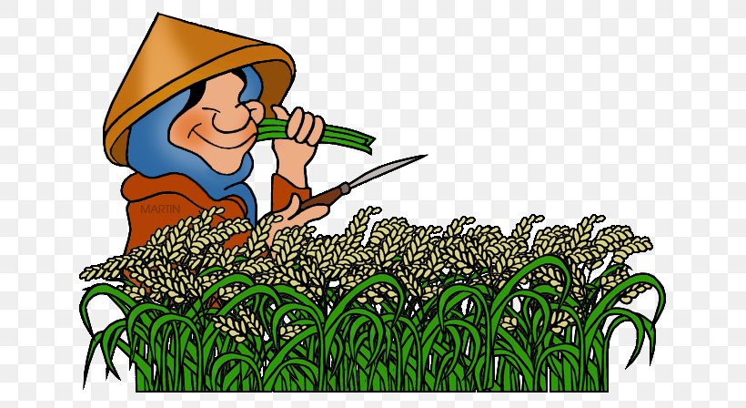 Fazendeiro Agricultura Oryza Sativa Clip Art, PNG, Fazendeiro
