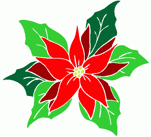 Coleção de clipart de poinsétias de Natal (78)