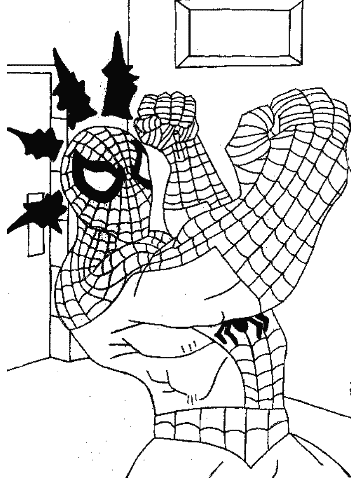 Spiderman | Färbung