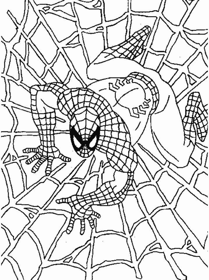 Collectie van Black Spiderman Kleurplaten (36)