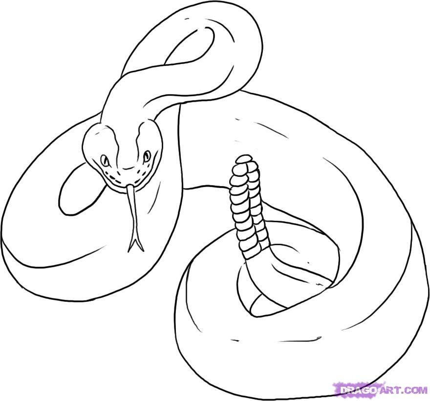 Hvordan man tegner en klapperslange, trin for trin, slanger, dyr, GRATIS