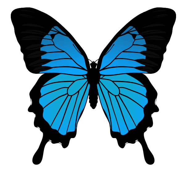 Hoe dieren te tekenen: vlinders, hun anatomie en vleugelpatronen